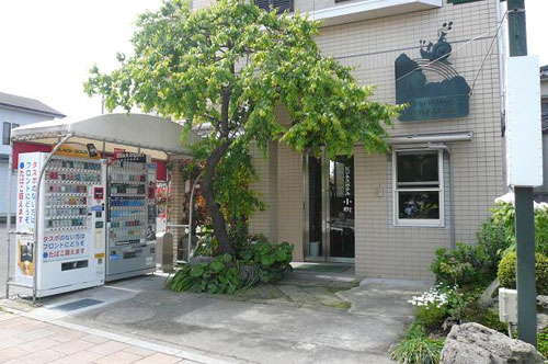 ビジネスホテル小町|鹿児島県のビジネスホテル・出張宿泊|0円〜