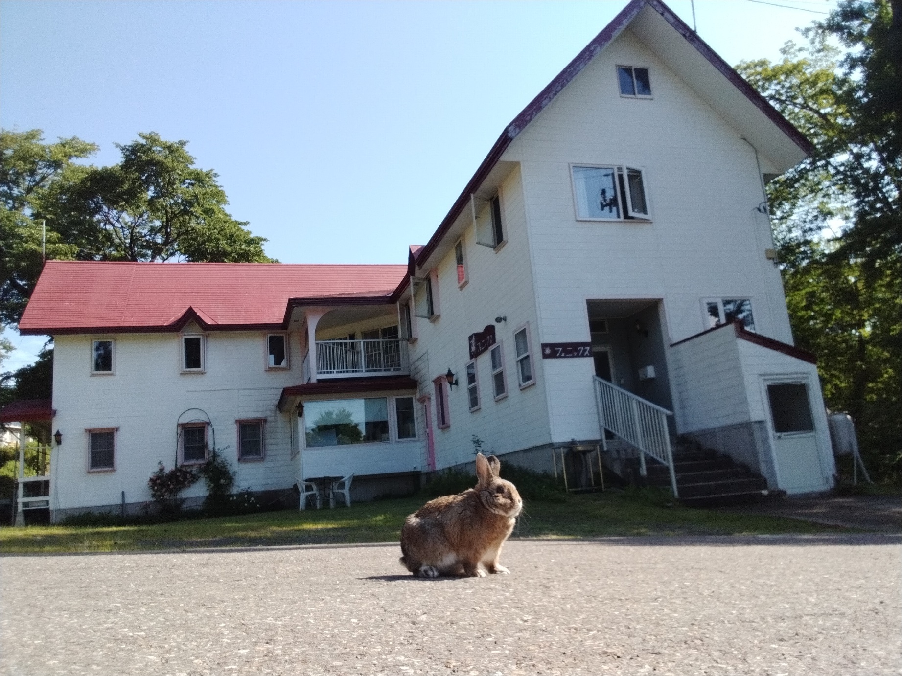 ペンション フェニックス|新潟県のリゾートホテル・極上ステイ|3,500円〜
