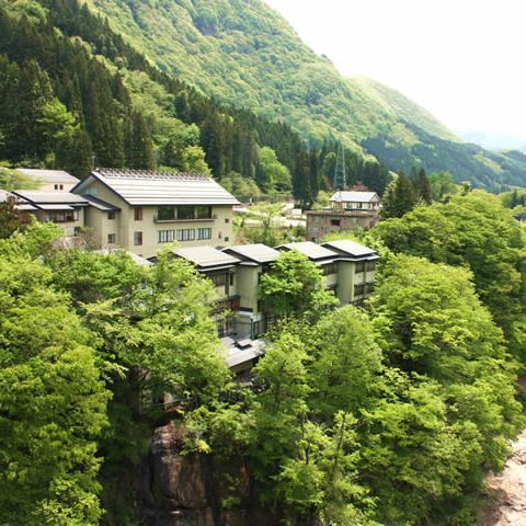 会津湯野上温泉　花鳥華やか風月の宿　藤龍館｜福島県の温泉宿・人気温泉旅館｜22,080円〜