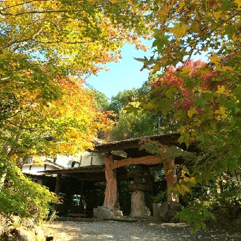 阿蘇扇温泉 おおぎ荘|熊本県の温泉宿・人気温泉旅館|17,600円〜